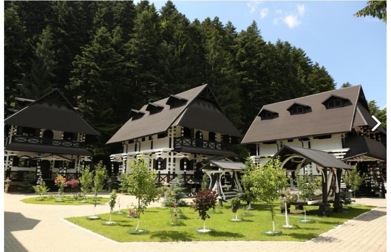 Complex Lions Bucovina Hotell Voronet Exteriör bild