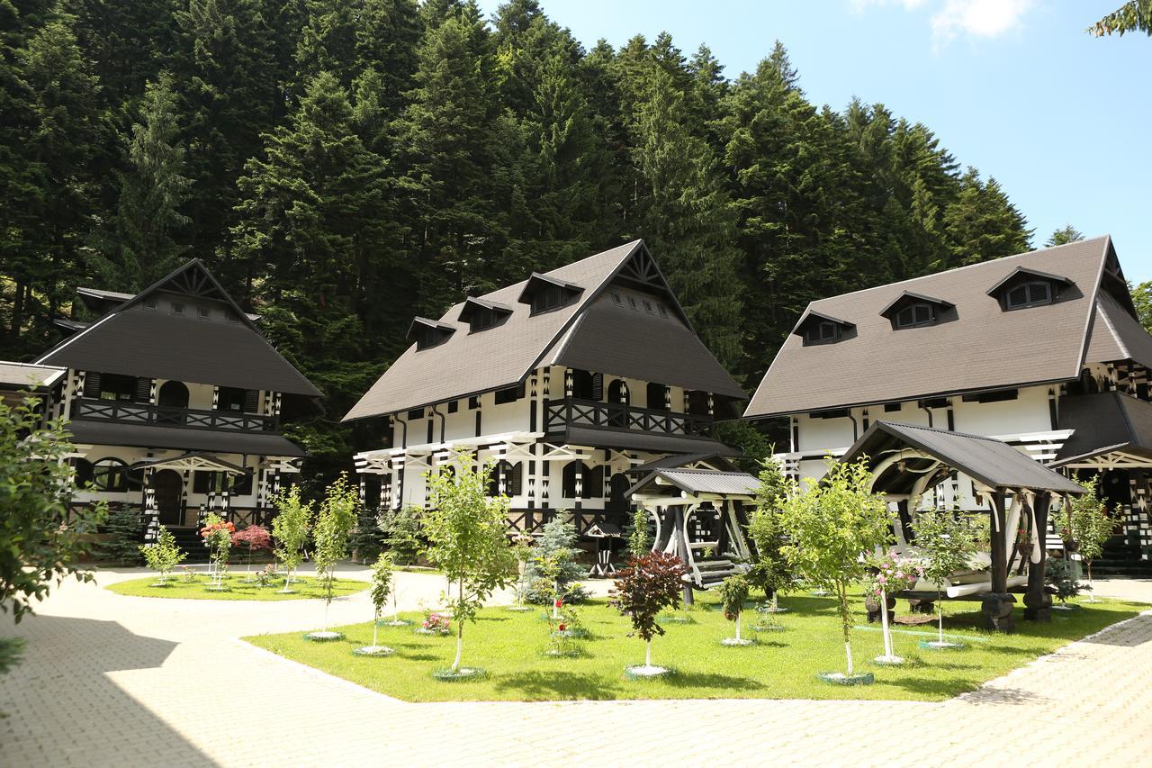 Complex Lions Bucovina Hotell Voronet Exteriör bild