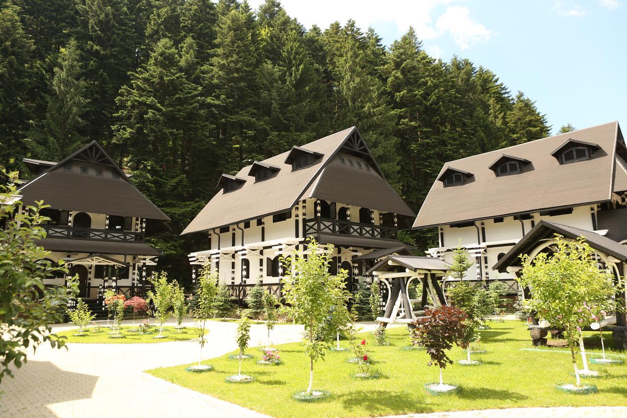 Complex Lions Bucovina Hotell Voronet Exteriör bild