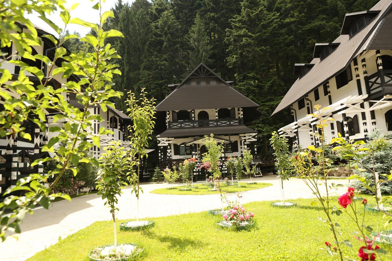 Complex Lions Bucovina Hotell Voronet Exteriör bild