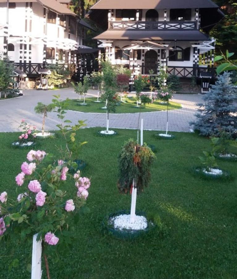 Complex Lions Bucovina Hotell Voronet Exteriör bild